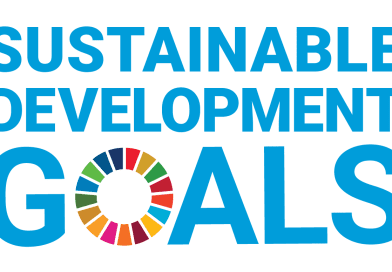 Indias-Progress-on-the-Sustainable-Development-Goals-www.helpyourngo.com