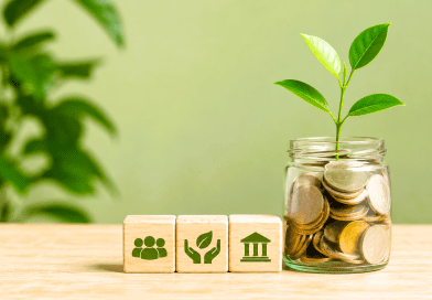 Sector-wise CSR spending trends in India from FY15 to FY24 showing education, healthcare, livelihood enhancement and environmental sustainability funding.